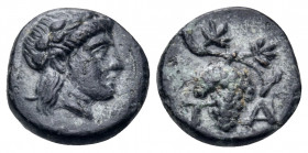 AEOLIS. Temnos. 3rd century BC. Half chalkous (Bronze, 9.5 mm, 0.92 g, 1 h). Youthful head of Dionysos to right, wearing ivy wreath. Rev. T-A Grape bu...