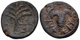 JUDAEA, Bar Kochba Revolt. 132-135 CE. Small Bronze (Bronze, 19 mm, 3.08 g, 7 h), undated, attributed to year 3 = 134-135 CE. Simon (Paleo-Hebrew) Sev...