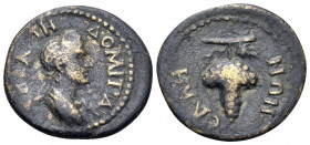 LYDIA. Sala. Domitia, Augusta, 82-96. Hemiassarion (Bronze, 17.5 mm, 2.05 g, 7 h). ΔOMITIA CEBACTH Draped bust of Domitia to right. Rev. CAΛHNΩN Grape...