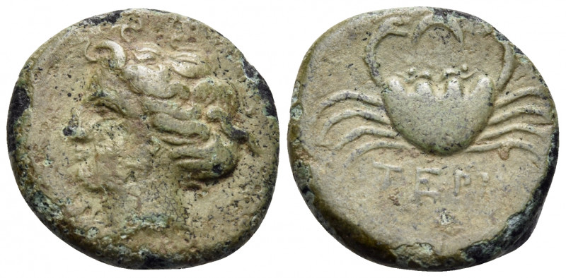 BRUTTIUM. Terina. Circa 350-275 BC. (Bronze, 17 mm, 3.25 g, 9 h). Head of nymph ...