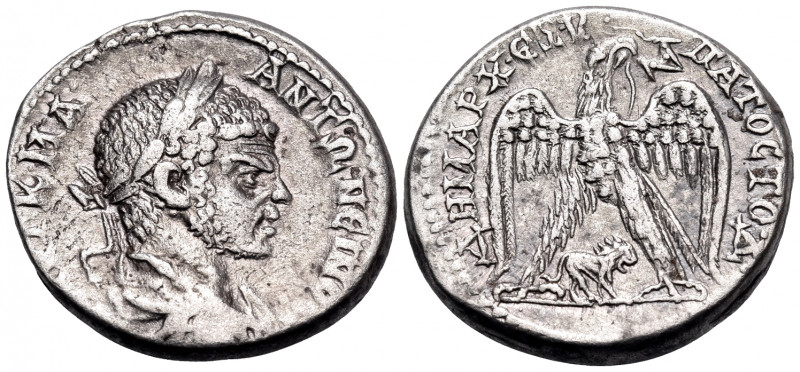 SYRIA, Cyrrhestica. Hieropolis. Caracalla, 198-217. Tetradrachm (Silver, 26 mm, ...