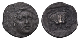 Greek AR Silver Obol, Ca. 350-300 BC..

Weight:2,30 gr
Diameter: 11 mm