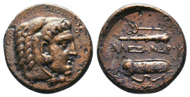 MACEDONIAN KINGDOM. Ale.ander III the Great (336-323 BC). AE..

Weight: 6,39 gr
Diameter:19 mm