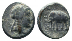 SELEUKID EMPIRE. Antiochos I Soter. 281-261 BC. Æ..

Weight: 1,99 gr
Diameter:13 mm