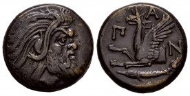 Cimmerian Bosporos. Patikapaion. AE 20. 310-303 BC. (Anokhin-1023). (MacDonald-69). Rev.: Π-Α-Ν Forepart of griffin left; below, fish to left. Ae. 8,0...