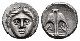 Thrace. Apollonia Pontika. Diobol. 450-400 BC. (SNG Stancomb-47). (SNG BM Black Sea-175). Anv.: Laureate facing head of Apollo. Rev.: Anchor, flukes u...