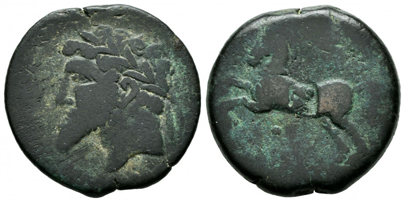 North Africa. Massinissa or Micipsa. AE 27. 148-118 BC. (Mazard-50). (Sng Cop-50...