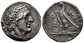 Ptolemaic Kings of Egypt. Ptolemy II Philadelphos. Tetradrachm. 281-246 BC. Alexandria. (Svoronos-530). (Sng Cop-104). Anv.: Diademed bust of Ptolemy ...
