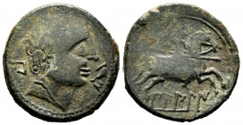Bilbilis. Unit. 120-30 BC. Calatayud (Zaragoza). (Abh-258). (Acip-1573). Anv.: Male head to right, in front of dolphin, behind BI. Rev.: Horseman with...
