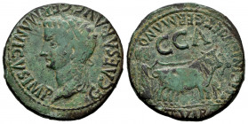 Caesaraugusta. Time of Caligula. Unit. 37-41 AD. Zaragoza. (Abh-390 variant). (Acip-3100). Anv.: G. CAESAR. AVG. GERMANICVS. IMP. Laureate head of Cal...