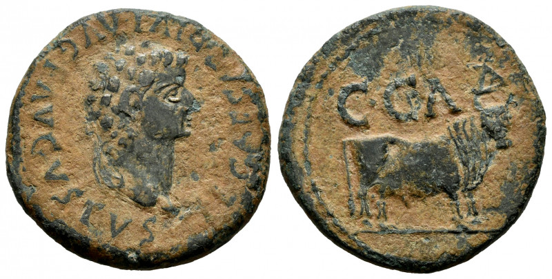 Caesar Augusta. Unit. 14-36 AD. Zaragoza. (Abh-Unlisted). (Acip-3060). Anv.: TI ...