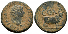Caesar Augusta. Unit. 14-36 AD. Zaragoza. (Abh-Unlisted). (Acip-3060). Anv.: TI CAESAR DIVI AVG F AVGVSTVS. Rev.: C C A. Bull right. Ae. 11,37 g. Almo...