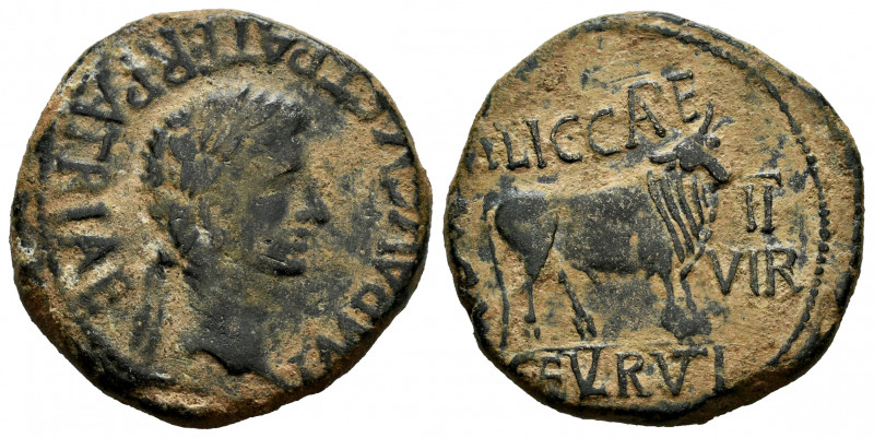 Calagurris. Augustus period. Unit. 27 BC - 14 AD. Calahorra (La Rioja). (Abh-420...
