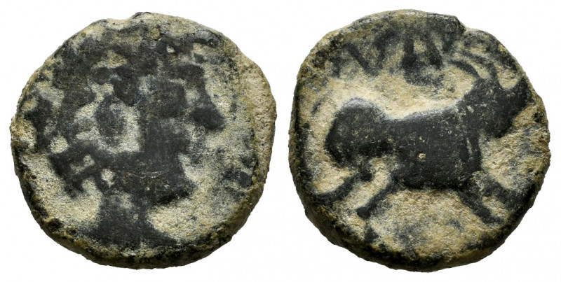 Nabrisa. Half unit. 50 BC. Lebrija (Sevilla). (Abh-1768). (Acip-2636). Anv.: Mal...