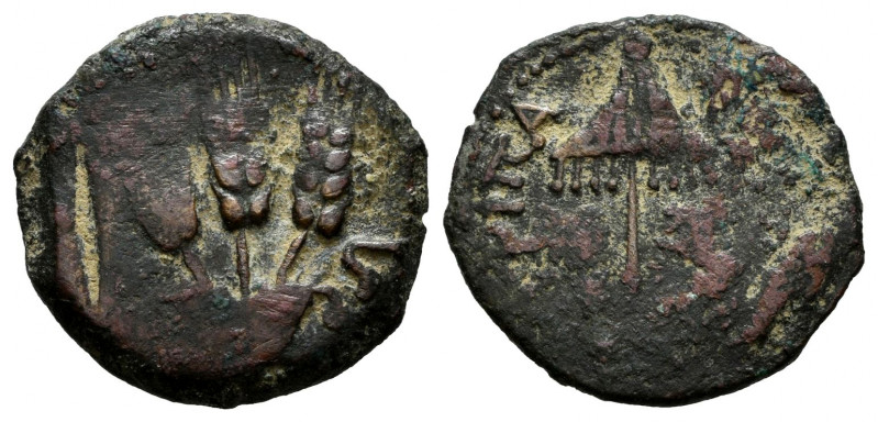 Agrippa I (Herod's dynasty). Prutah. 37-44 AD. Judaea. (Gc-5567). Ae. 2,94 g. Ch...
