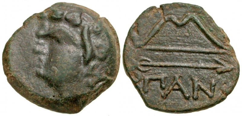 Tauric Chersonesos, Pantikapaion. Civic issue. Fourth/third century B.C. AE 19 (...