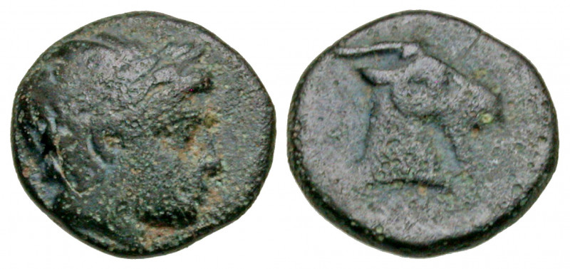 Aiolis, Aigai. Ca 3rd century B.C. AE 10 (9.8 mm, .80 g, 7 h). Laureate head of ...