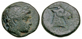 Aiolis, Aigai. Ca 3rd century B.C. AE 10 (9.8 mm, .80 g, 7 h). Laureate head of Apollo to right / Head and neck of goat right. SNG Copenhagen 4; SNG v...