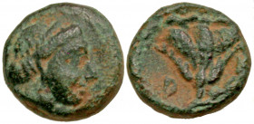 Islands off Caria, Rhodos. Rhodes. 350-300 B.C. AE 10 (10 mm, 1.42 g, 1 h). Head of the nymph Rhodos right / P-O, Rose with bud to right. Ashton 124; ...