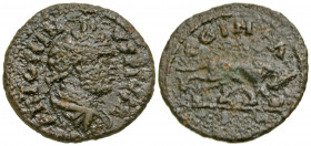 Mysia, Parium. Caracalla. A.D. 198-217. AE 23 (22.8 mm, 5.30 g, 7 h). ANTONINVS PIVS AV, laureate, draped, and cuirassed bust of Caracalla right, seen...