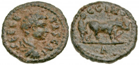 Mysia, Parium. Geta. As Caesar, A.D. 198-209. AE 15 (14.7 mm, 1.98 g, 1 h). SEP GETAS CAI, bare-headed, draped, and cuirassed bust of Geta right, seen...