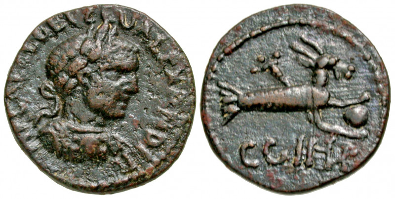 Mysia, Parium. Severus Alexander. A.D. 222-235. AE 21 (20.8 mm, 4.49 g, 8 h). IM...
