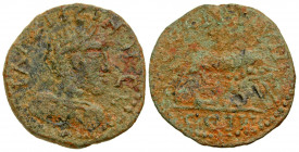 Mysia, Parium. Gallienus. A.D. 253-268. AE 27 (27.3 mm, 9.11 g, 8 h). IΛΛR LICINN C K, laureate, draped and cuirassed bust of Gallienus right / GΛΛIPH...