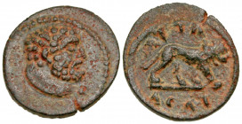 Lydia, Attaleia. Pseudo-autonomous. Severan era, A.D. 193-235. AE 15 (15.3 mm, 1.58 g, 7 h). Head of Herakles right, draped in lion's skin around his ...