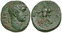 Pamphylia, Side. Hadrian. A.D. 117-138. AE 19 (19.1 mm, 4.62 g, 12 h). Struck A.D. 117/8. ΑΥ ΚΑΙ Τ ΑΔΡΙΑΝΟ , laureate head of Hadrian right / ΙΔΗ-Τ Ν,...