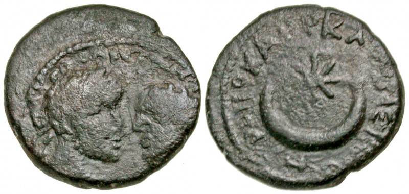 Mesopotamia, Carrhae. Caracalla and Geta. A.D. 198-217. AE 19 (18.8 mm, 3.99 g, ...