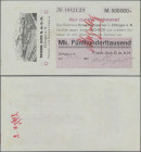 Deutschland - Notgeld - Württemberg: Esslingen, Friedr. Dick G.m.b.H., 500 Tsd. Mark, 24.8.1923 (Tag und Monat gestempelt), Reihe C, Erh. II+
 [diffe...