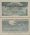 Deutschland - Notgeld - Württemberg: Freudenstadt und Baiersbronn, Stadtgemeinde und Gemeinde, 50 Billionen Mark, 10.11.1923, Erh. I
 [differenzbeste...