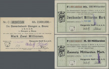 Deutschland - Notgeld - Württemberg: Giengen, Margarete Steiff G.m.b.H., 2 Mio. Mark, 24.8.1923, 20 Mrd. Mark, 3.11.1923, 200 Mrd. Mark, 16.11.1923, a...