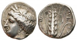 Lucanie, Métaponte, 300-280 avant J.-C.
Statère ou didrachme, AG 7.8 g. 
Avers : Tête de Déméter à gauche, coiffée d'une couronne d'épis et avec bou...