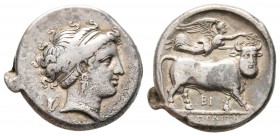 Campanie, Naples, 275-250 avant J.-C.
Didrachme, AG 7.2 g. 
Avers : Tête de la nymphe Parthénopé à droite, la chevelure bouclée, ceinte d'un bandeau...