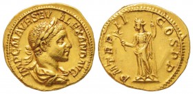 Severus Alexander 222-235
Aureus, Rome, 223, AU 6.07 g.
Avers : IMP C M AVR SEV ALEXAND AVG  Buste lauré et drapé à droite.
Revers : P M TR P II CO...