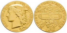 France, Troisième République 1870-1940    
Médaille en or Ministère de l'Agriculture, AU 55.77 g. 42 mm         
Avers : REPVBLIQVE FRANÇAISE
Rever...