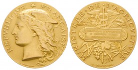 France, Troisième République 1870-1940    
Médaille en or Ministere de l'Agriculture, AU 25.06 g. 33 mm         
Avers : REPVBLIQVE FRANÇAISE
Rever...