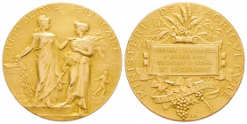 France, Troisième République 1870-1940    
Médaille en or Ministere de l'Agriculture, 1902, AU 24.57 g. 32 mm         
Avers : REPVBLIQVE FRANÇAISE...
