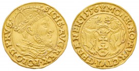 Poland
Sigismund II Augustus 1548-1572
Ducat, Gdansk (Danzig), 1556, AU 3.52 g.
Avers : SIGIS AVG REX POLO D PRVS
Revers : MONE NO AVR CIVI GEDANE...