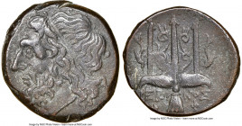 SICILY. Syracuse. Hieron II (ca. 275-215 BC). AE litra (20mm, 3h). NGC XF. Head of Poseidon left, wearing taenia / ΙΕΡΩ-ΝΟΣ/Θ-Φ, trident head, dolphin...