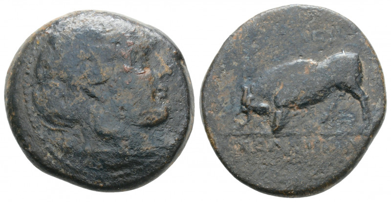 Greek
SELEUKID KINGS of SYRIA. Seleukos II Kallinikos. ( Circa 246-225 BC)
AE Br...