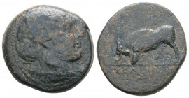 Greek
SELEUKID KINGS of SYRIA. Seleukos II Kallinikos. ( Circa 246-225 BC)
AE Bronze ( 21.6 mm. 7.2 g.)