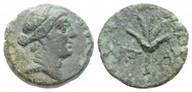 Greek
CILICIA. Seleukeia ad Kalykadnon ? (Circa 2nd-1st centuries BC).
AE Bronze ( 12.5 mm 1.3 g)