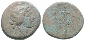 Greek 
SELEUKIS and PIERIA, Apameia. ( Circa 1st century BC)
AE Bronze (21.4mm 8.7g)