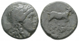 Greek
AEOLIS, Aigai. (Circa 300-200 BC)
AE Bronze (15.8mm 3.3g)