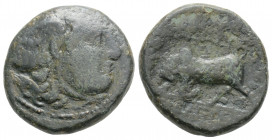 Greek
SELEUKID EMPIRE. Seleukos I Nikator (Circa 312-281 BC)
AE Bronze (19.7mm 6.7g)