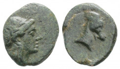Greek
AEOLIS, Aigai. (Circa 4th-3rd century BC)
AE Bronze (11.3mm 0.9g)