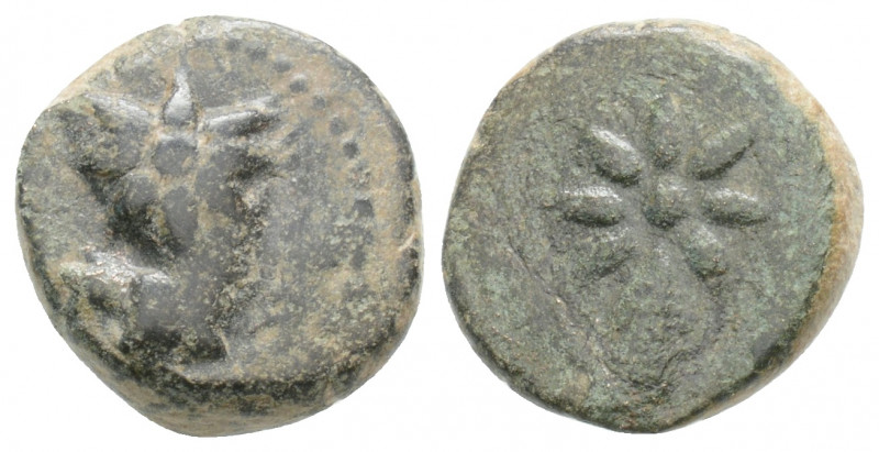 Greek
PONTOS. Uncertain. (Circa 130-100 BC.)
AE Bronze (12.6mm 2.4g)