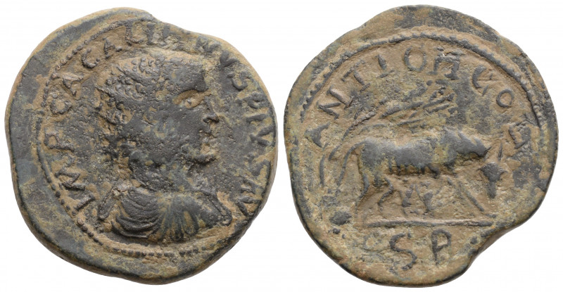 Roman Provincial 
PISIDIA, Antioch. Gallienus (253-268 AD).
AE Bronze (29.3mm 12...